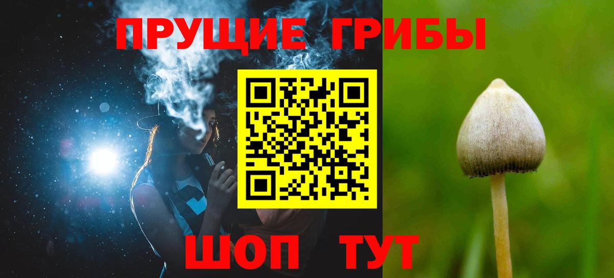 купить  сайты  Псилоцибиновые грибы Psilocybine cubensis  Сургут  Вход с VPN  Псилоцибиновые грибы ЛСД 